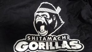 投げて、蹴ってアメフト体験しませんか